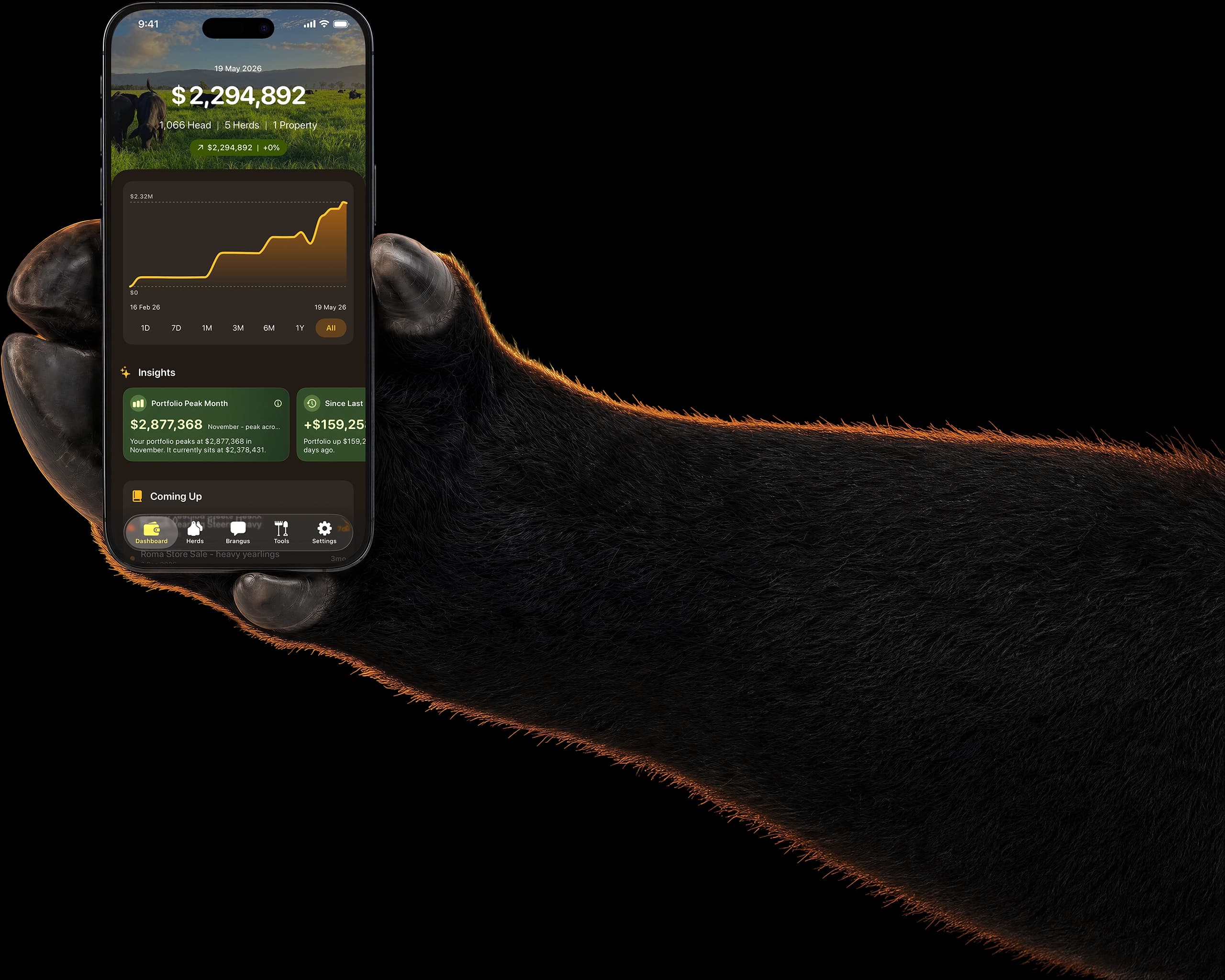Brangus holding the Stockman's Wallet app dashboard on an iPhone